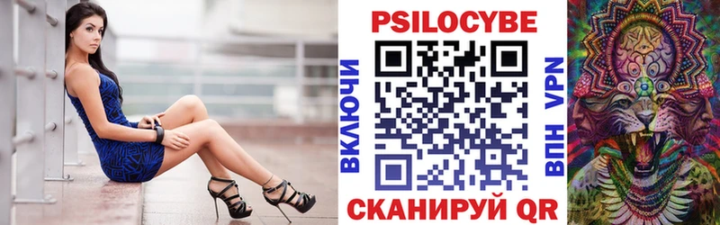 как найти   Севск  Галлюциногенные грибы мицелий 